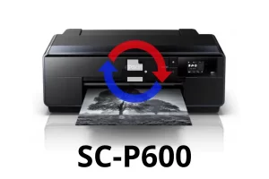 Reset de Almohadillas Epson SC-P600 Online | Verificación WhatsApp